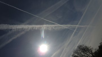 Jean Lucien Picard tweet media