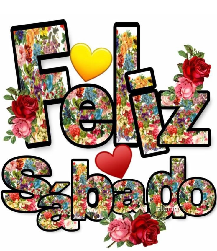 💚Norma Fernandez💚 tweet media