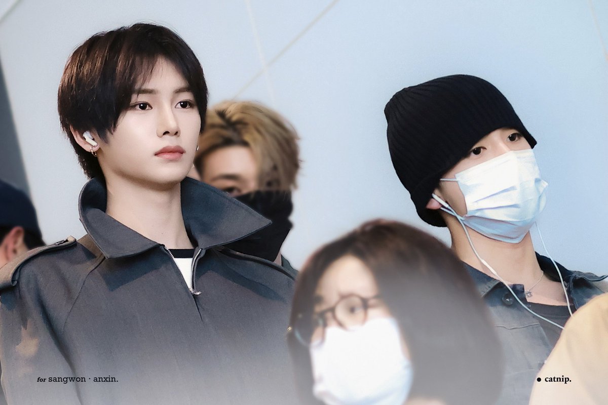 Catnip12. tweet media