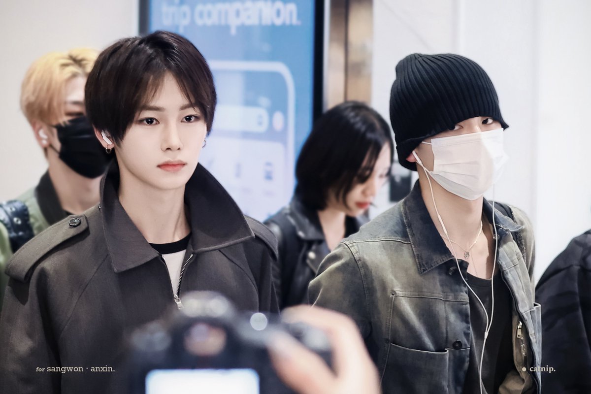 Catnip12. tweet media