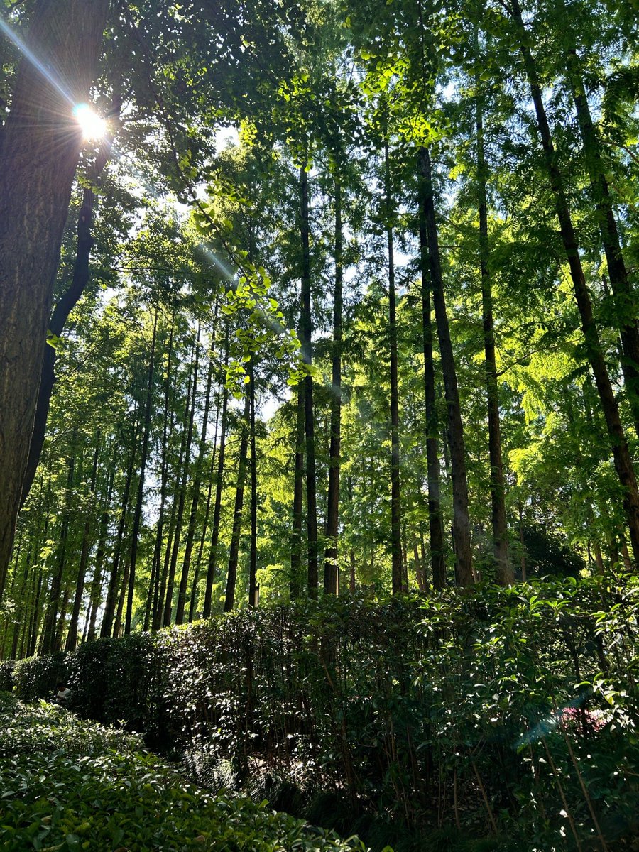 Riccardo Stecchi tweet media