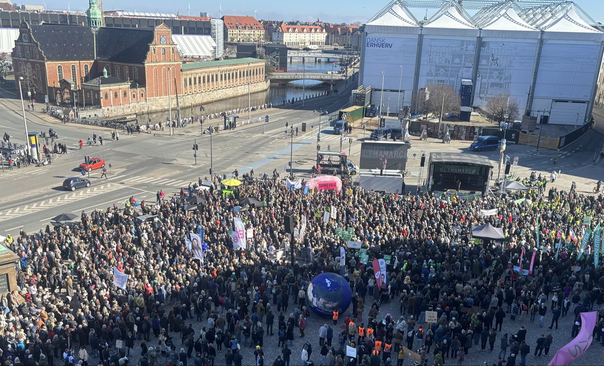 Pelle Dragsted tweet media