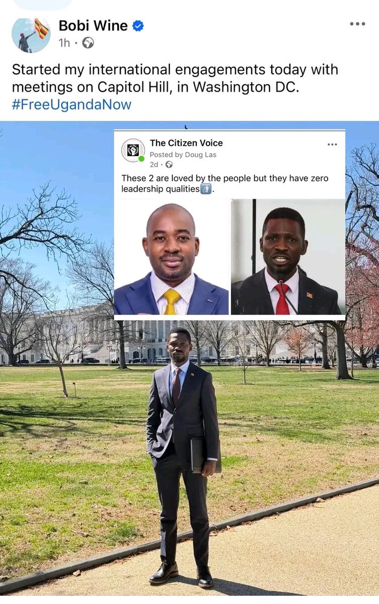 Mambo Zimbabwe 🤴 tweet media