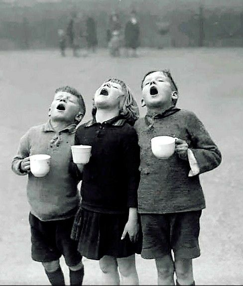 tualveben's tweet photo. 🌾 ..." dostluk güzeldir "...
🎶 Begen
✍️ GT yaz
🌀 Paylaş
Takip etmek isteyenler, takipçi edinmek isteyenler gelsin...
Yorum yapalım, paylaşalım...
----------------------------------
#Takip #takipleşme #NevruzBayramı #21Mart #fallowback #geritakip #takipleşelim https://t.co/kPzsTRpcqV