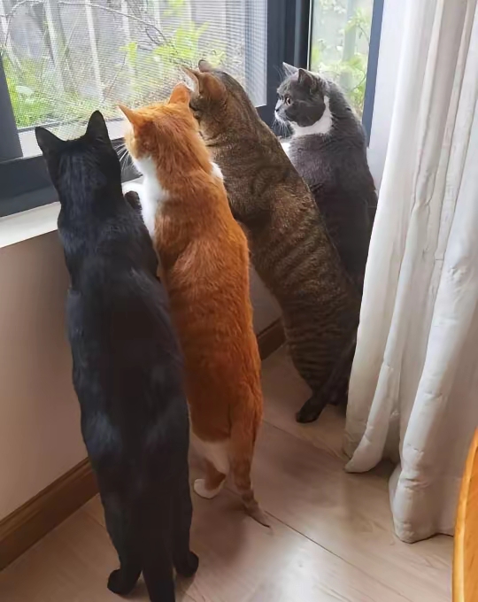 kassin reb tweet media