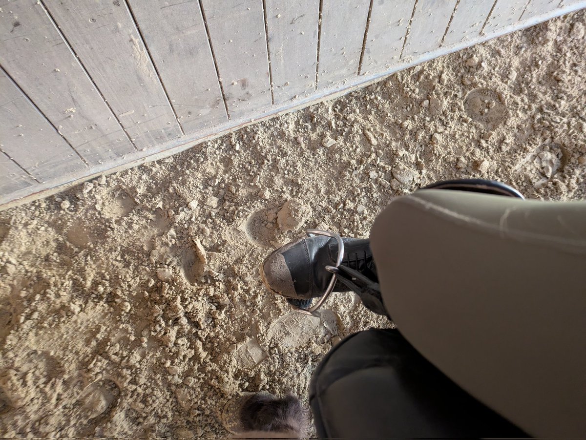 Herrin_Sandra77 tweet media