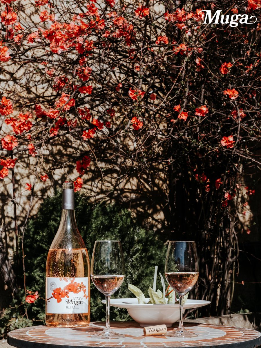 Bodegas Muga tweet media