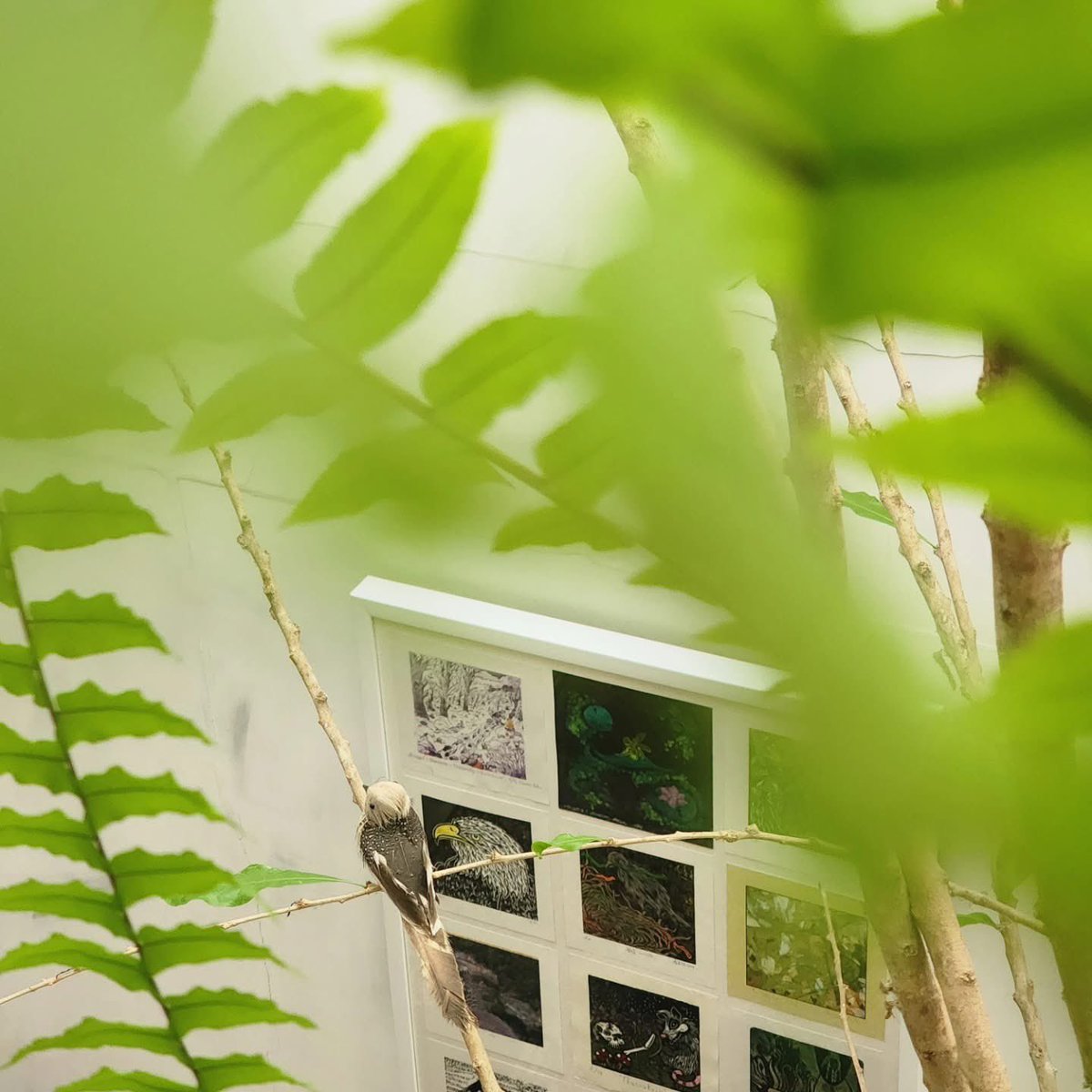 Metasit Bunaikbuth tweet media