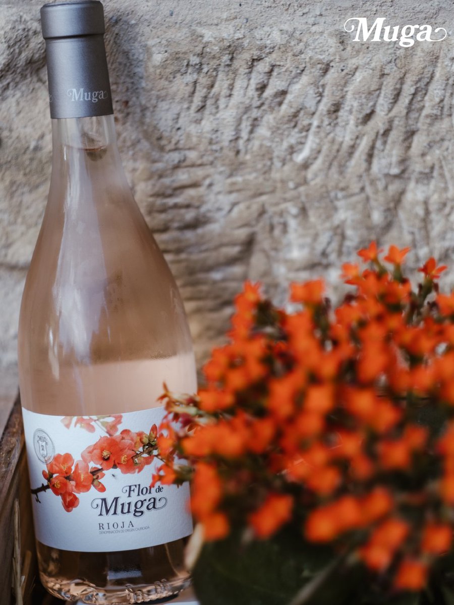 Bodegas Muga tweet media