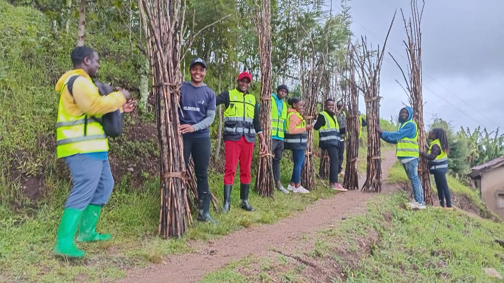 RYVCP NGORORERO tweet media