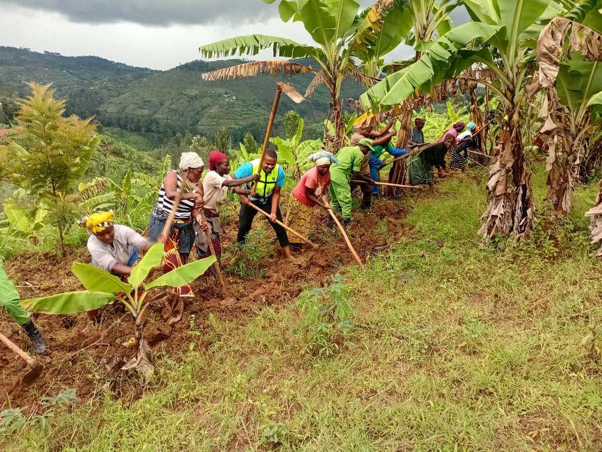 RYVCP NGORORERO tweet media