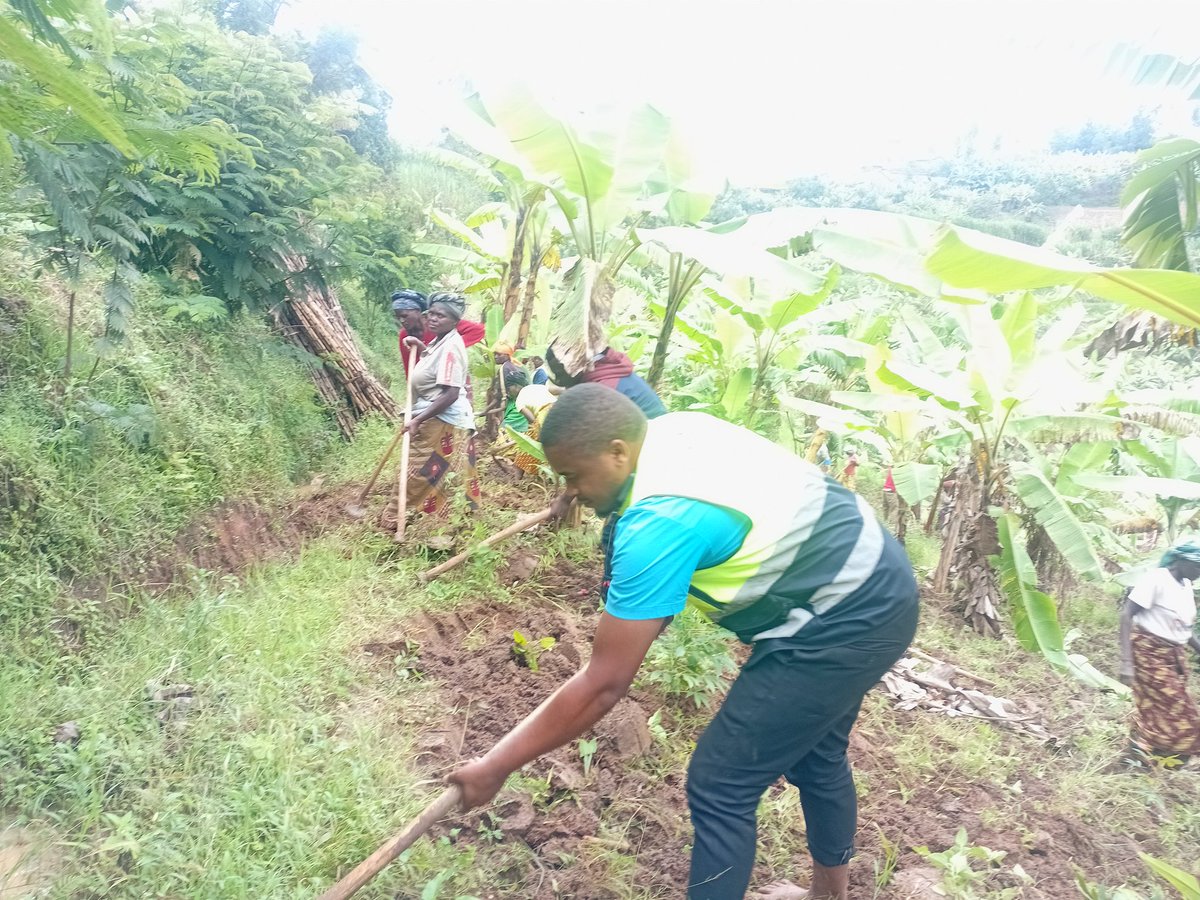 RYVCP NGORORERO tweet media