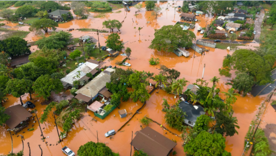 WITN Headlines tweet media