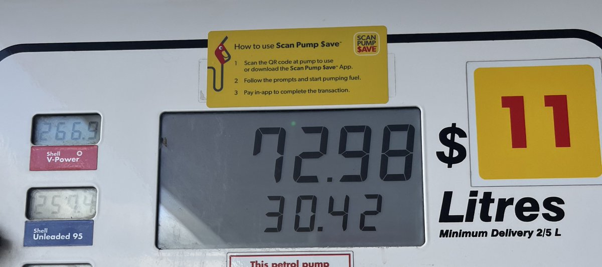 cooper クーパ! tweet media