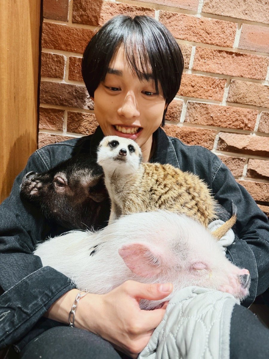 佐藤綾人 tweet media