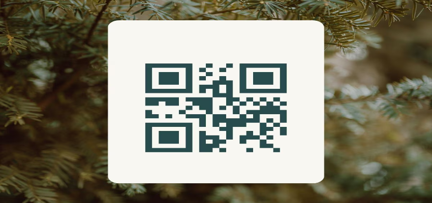 Khabarfast's tweet image. दिल्ली की सड़कों पर क्यों लगेंगे क्यूआर कोड? आपके लिए जानना है जरूरी, मिलेगी इस चीज की जानकारी

khabarfast.com/why-will-qr-co…

#DelhiNews #QRCode #KhabarFast #KhabarFastDigital