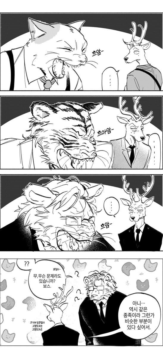 수염상어 tweet media