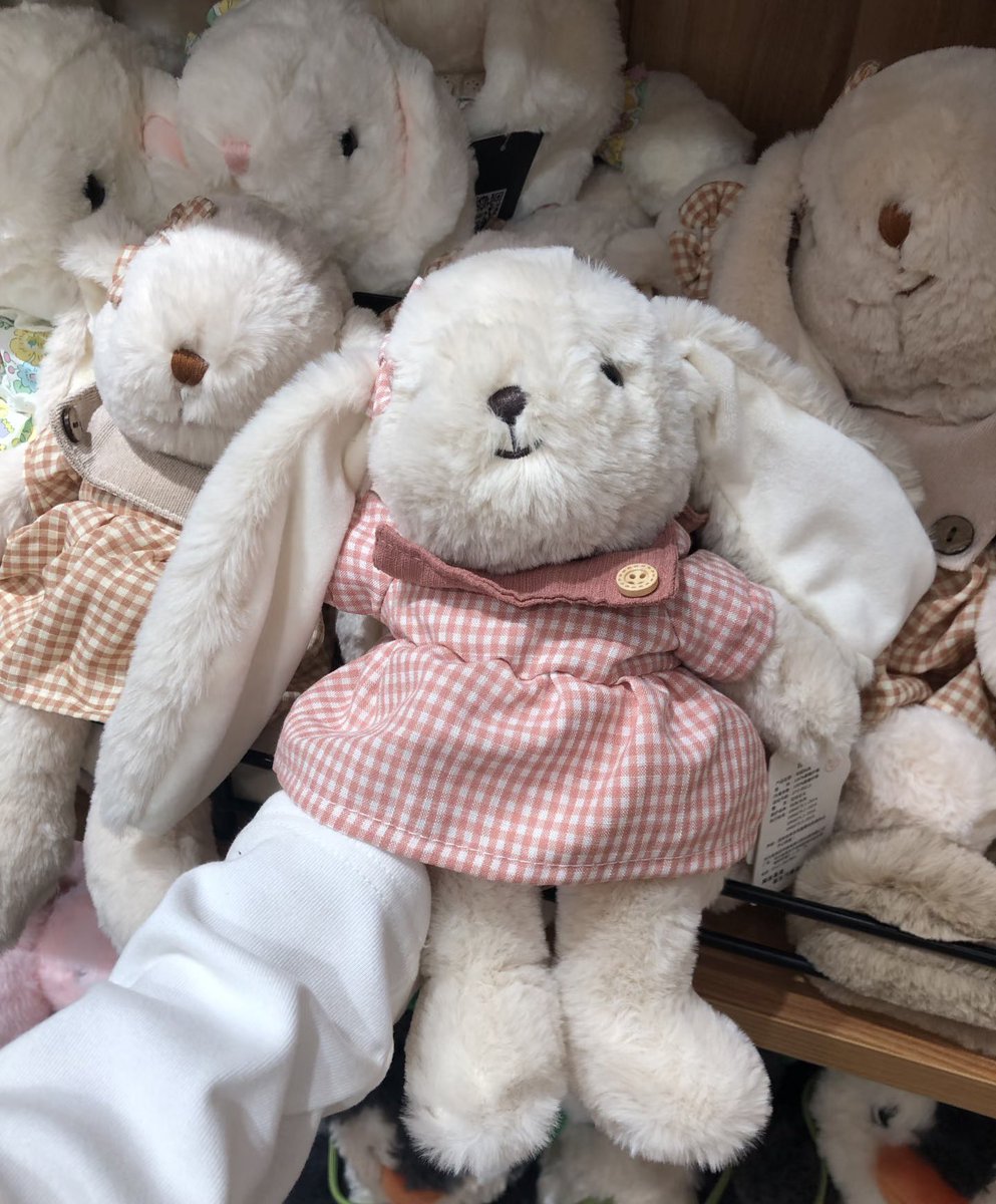 sasis ♡̴ | ไม่ตอบเกิน 24ชม. ทักซ้ำ tweet media