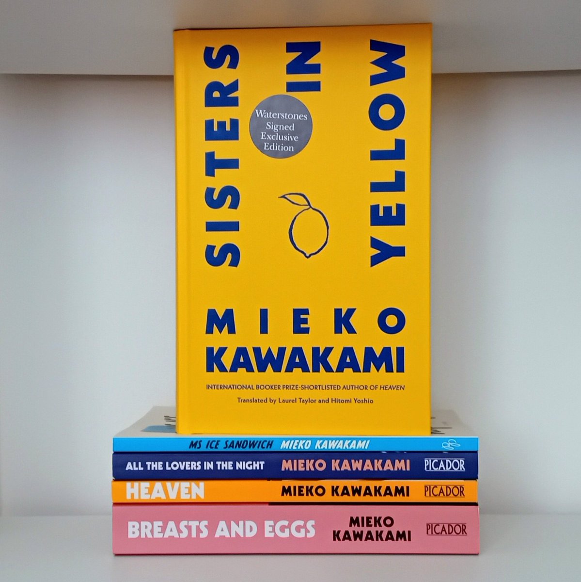 Wanda 💋 is recovering from surgery!! tweet media