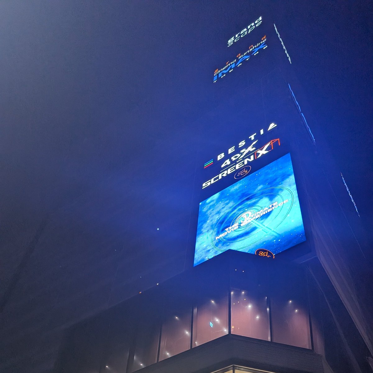 こんぺい💉 tweet media