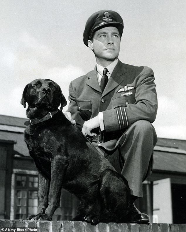 ‘HB’ Bob tweet media