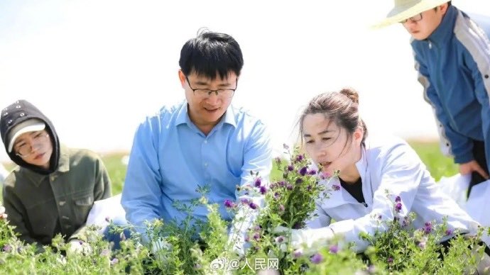 Krishna Thakur tweet media