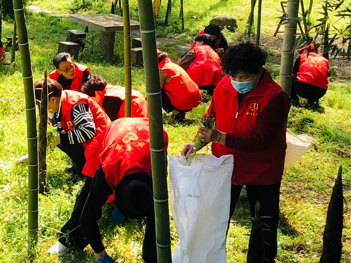 Mie Kitty Basini tweet media