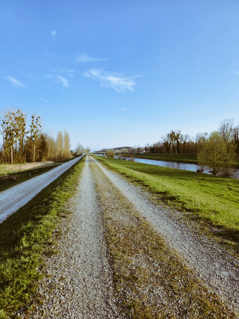 Hurly23 l Walker 🐍🚶🏻‍♂️🧠 tweet media