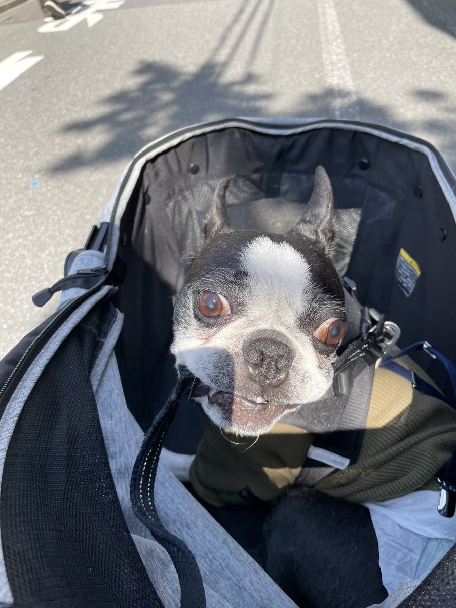 Shigetsu Takayama tweet media