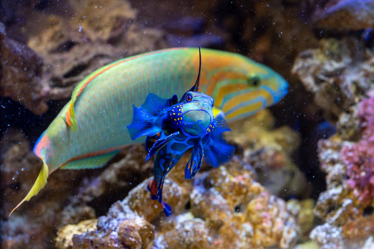 空白寺 tweet media