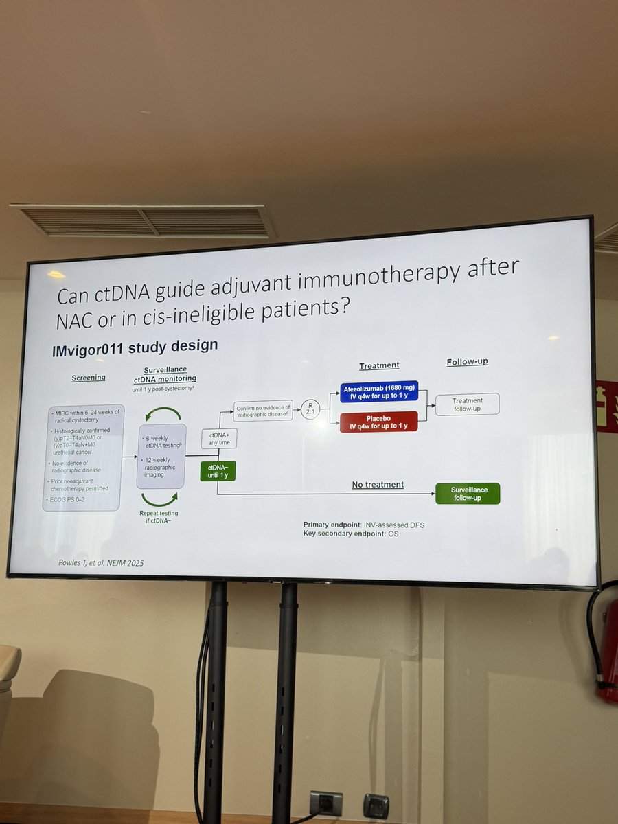 Marta Orozco Belinchon tweet media
