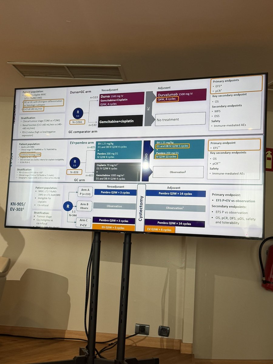 Marta Orozco Belinchon tweet media