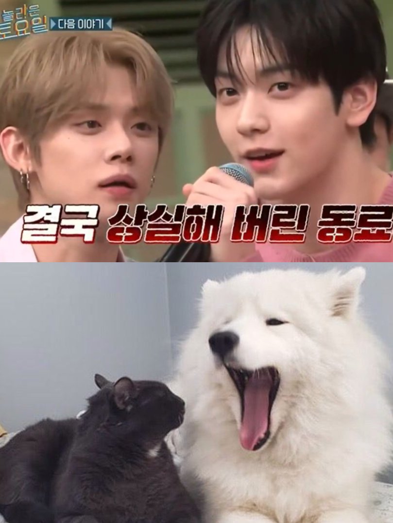 𝙠𝙞𝙞𝙘𝙝𝙖𝙣 tweet media