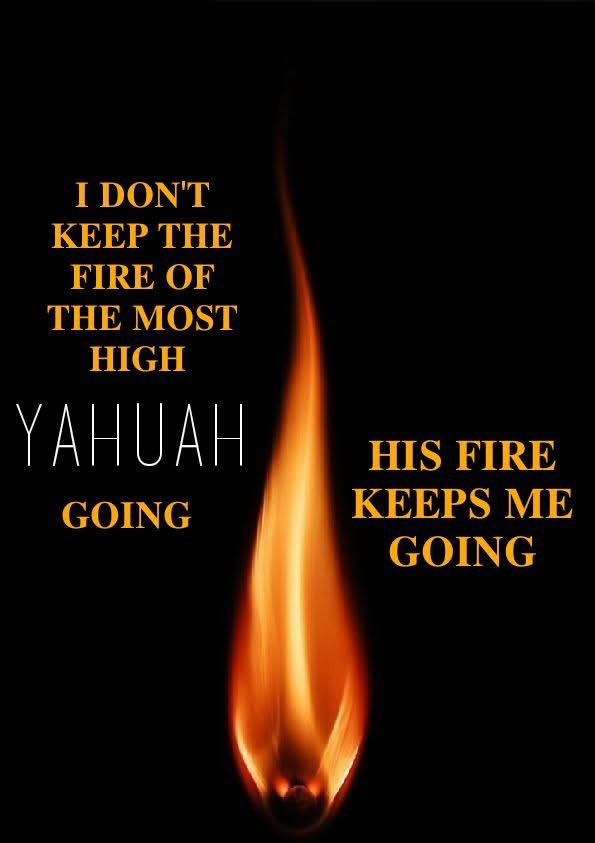 𐤒𐤃𐤔 מירקו tweet media