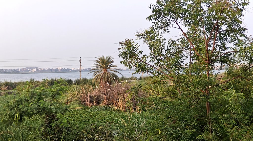 Shyam Diwakar tweet media