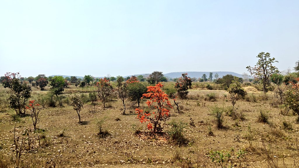 Shyam Diwakar tweet media