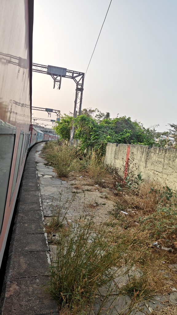 Shyam Diwakar tweet media