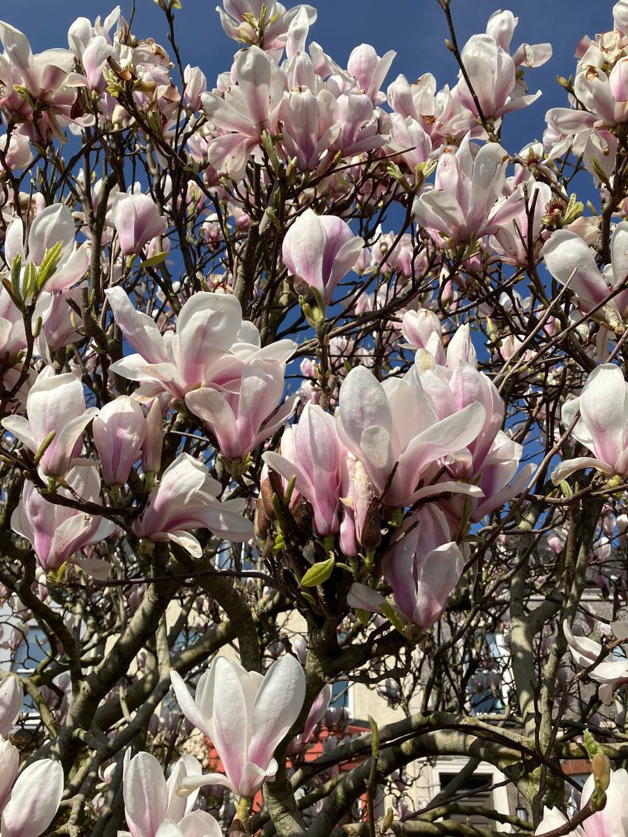 заебарби гедонизменная tweet media