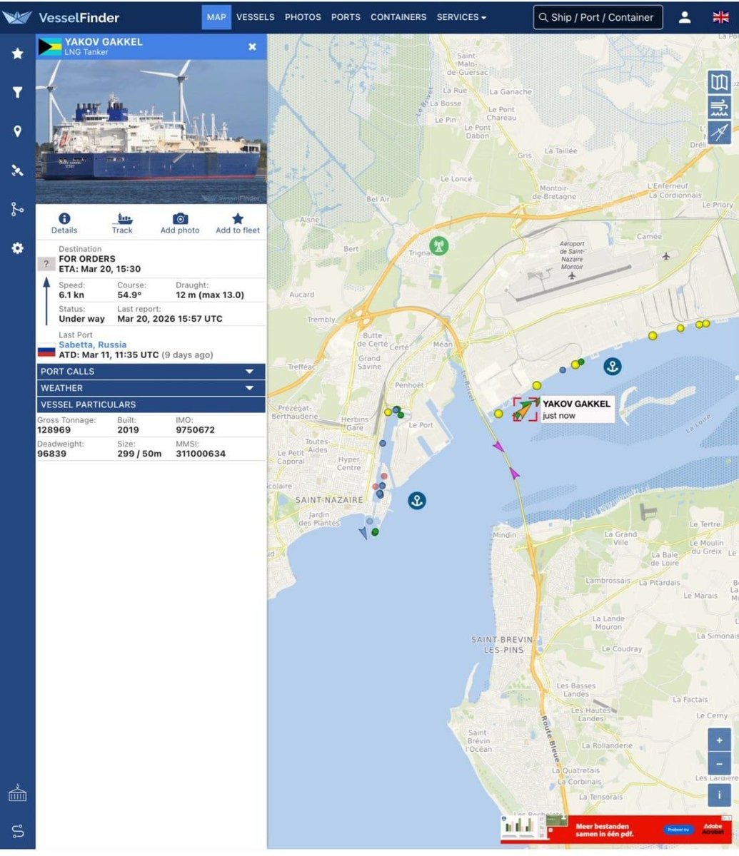 Russians With Attitude tweet media