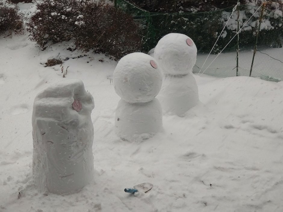 群馬大学学生フォーミュラチームGUFT-Sub tweet media