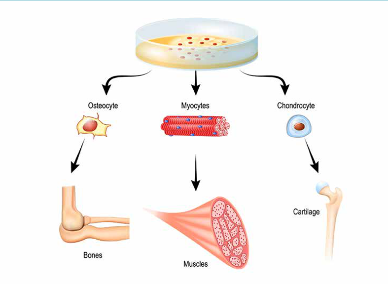 Kevin Virgil tweet media
