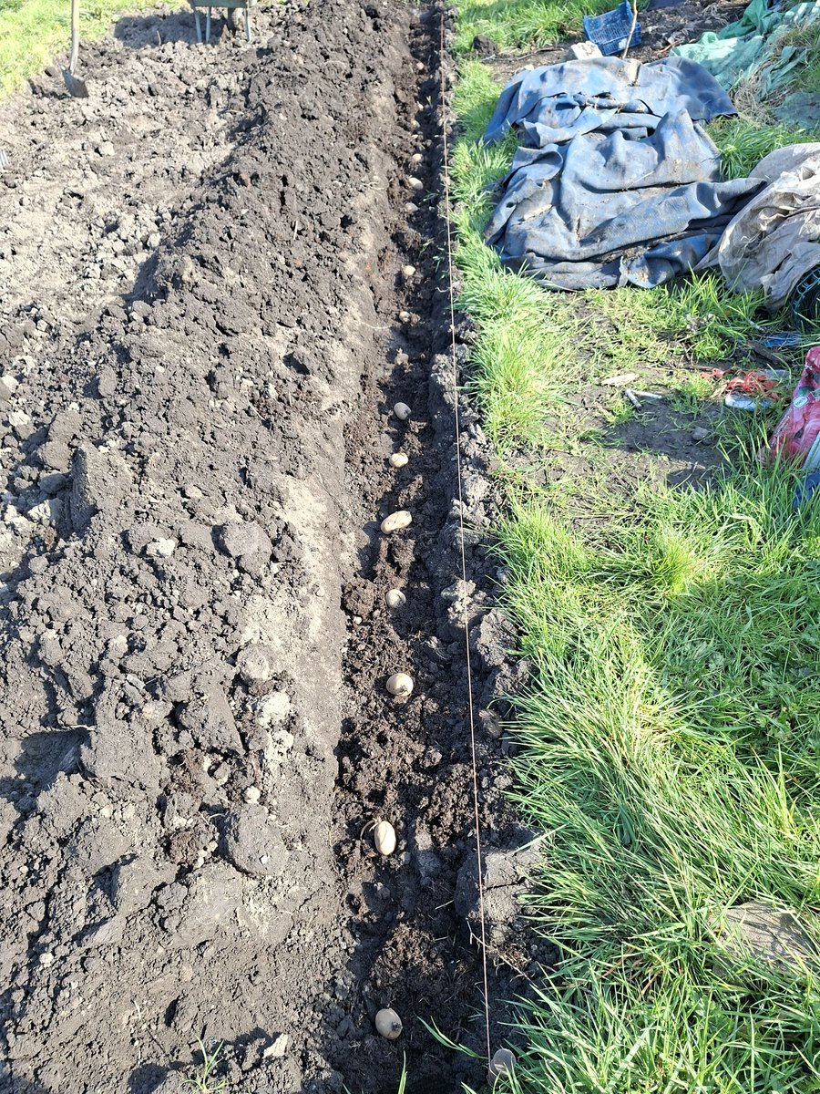 Ian Williams tweet media