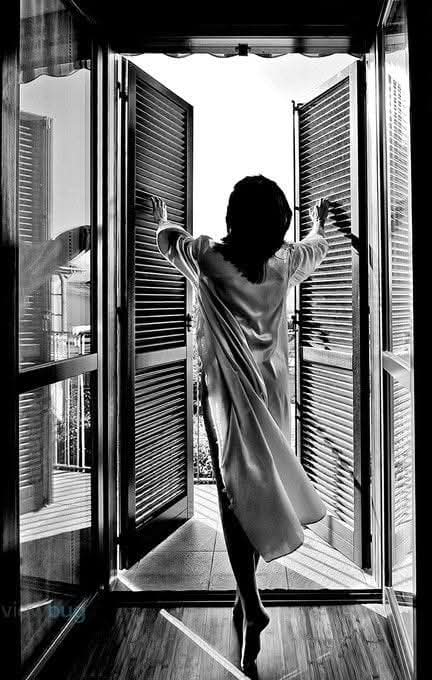 Genevieve Boiko tweet media