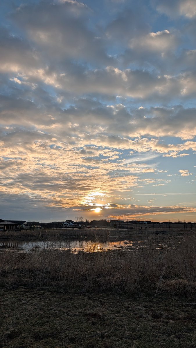 Mike Graber tweet media