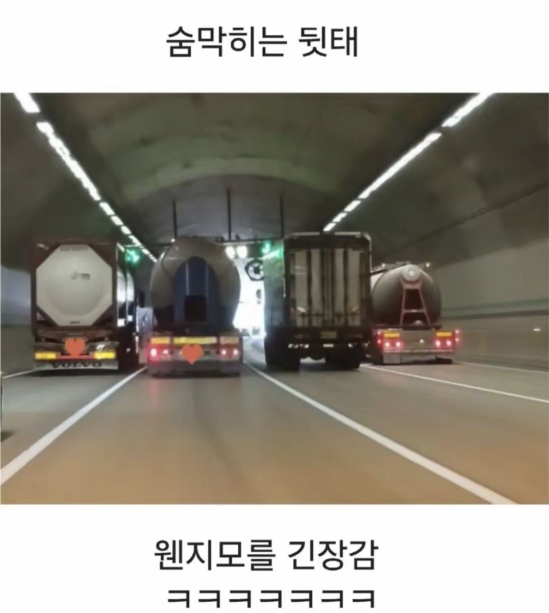 돌아온지지 tweet media