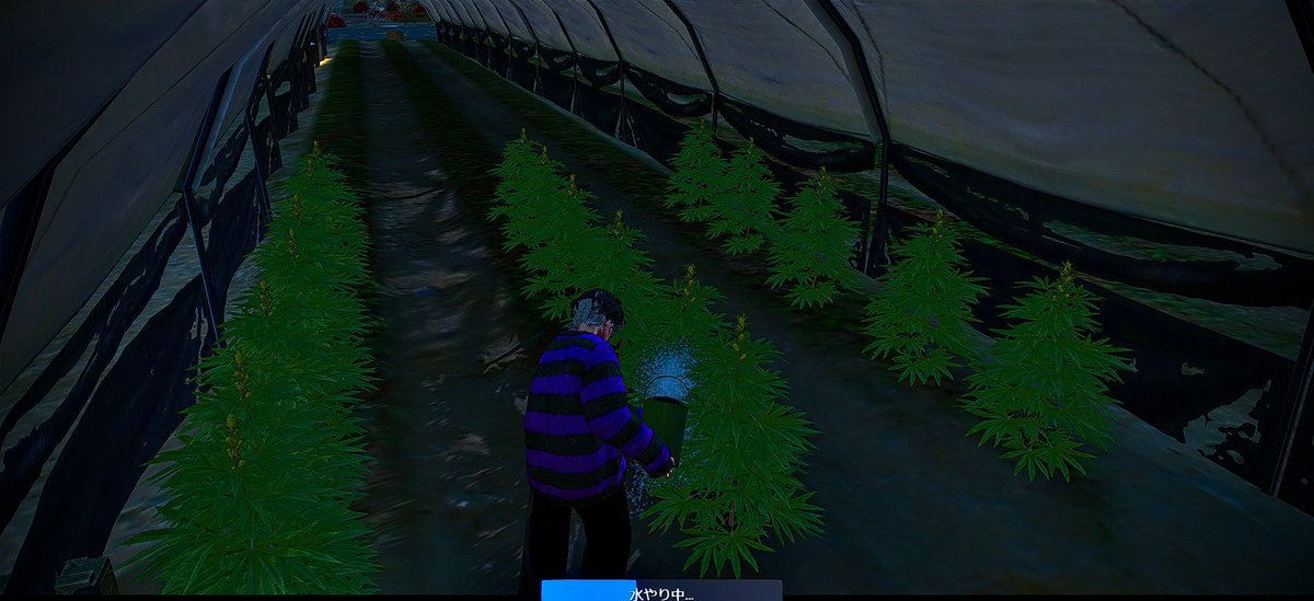 Royal-JP 公式（X） tweet media