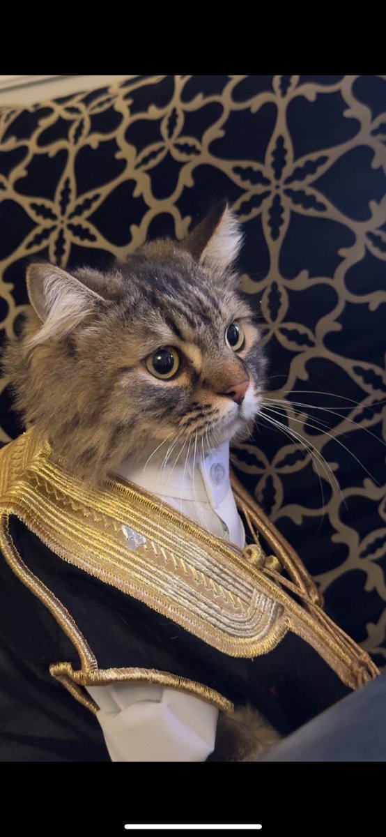 الارا | متصدره لا تكلمني tweet media