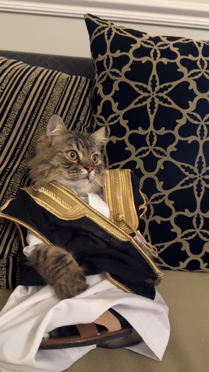 الارا | متصدره لا تكلمني tweet media