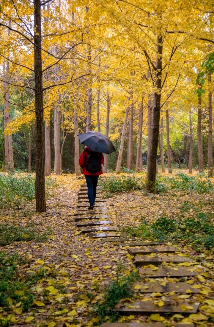 Colby Jacobson tweet media