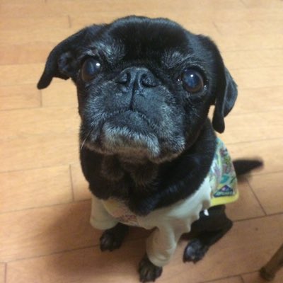 #新しいプロフィール画像